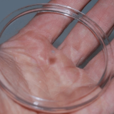 Resina de poliéster transparente para OCUPAÇÕES