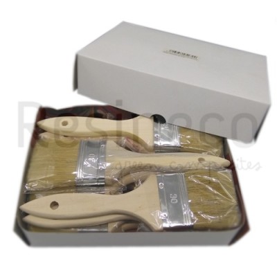 CAIXA 12 ESCOVAS/PINCÉIS Nº30