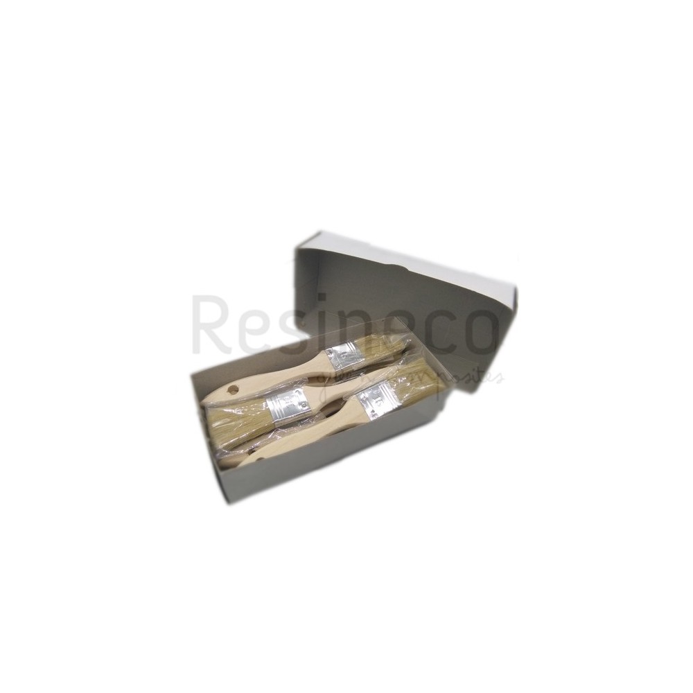 BOX 12 BRUSHES/BRUSHES Nº15