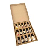 SET OF PIGMENTS JESMONITE 15X10GR